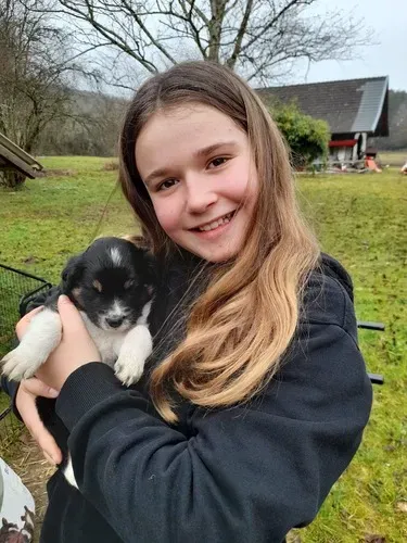 Éducateur canin à Plateau-des-Petites-Roches (8webp